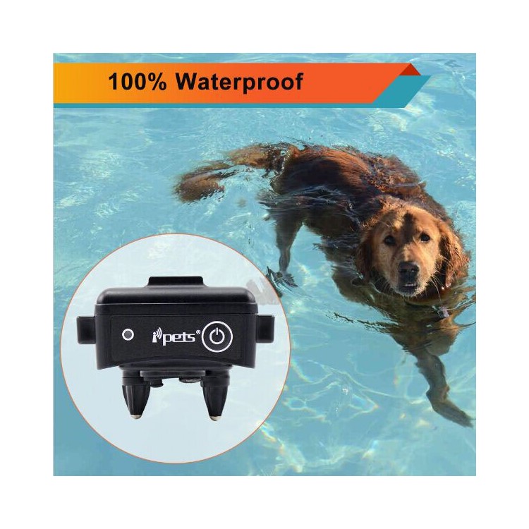 IPETS 619 Collare impermeabile per allenamento del cane da telecomando - Blu / US spina-6