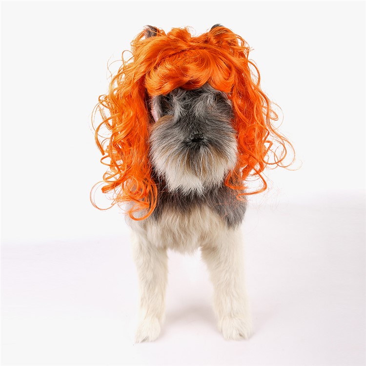 Funny Pet Curly Hair Costume Wig - Style A-1