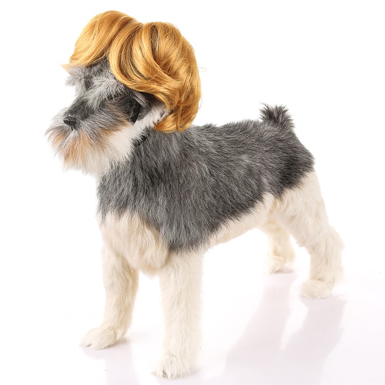 Funny Amusing Pet Curly Hair Costume Wig - Style C-1