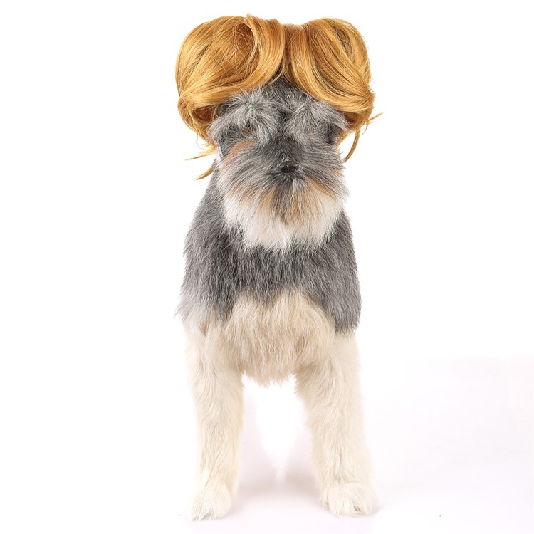 Funny Amusing Pet Curly Hair Costume Wig - Style C-2