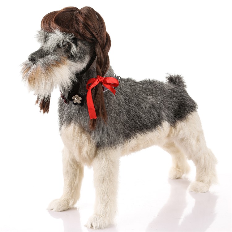 Funny Pet Dog Curly Hair Costume Wig - Style F-1