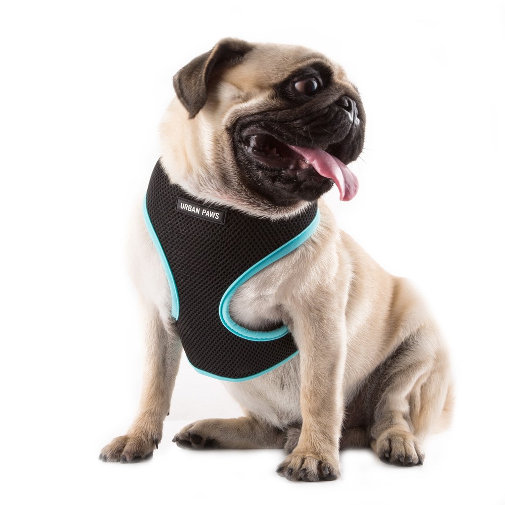 For Pet Cat & Dog Soft Mesh Padded Adjustable Pet Harness Vest - Blue/Size S-2