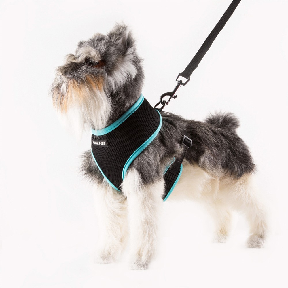 For Pet Cat & Dog Soft Mesh Padded Adjustable Pet Harness Vest - Blue/Size S-3
