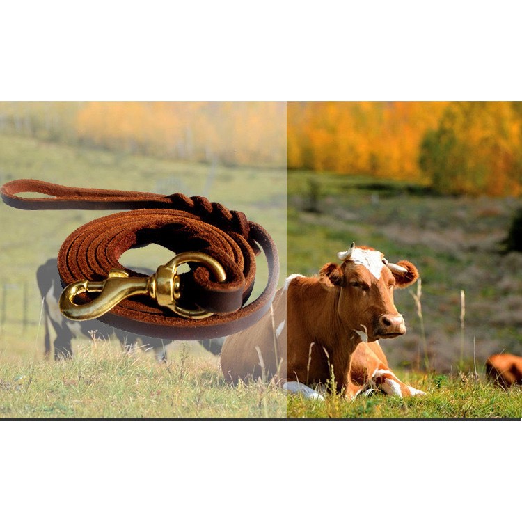 2 Meters Genuine Leather Dog Leash Soft Durable Leather Braided Dog Leash - Red-brown-3