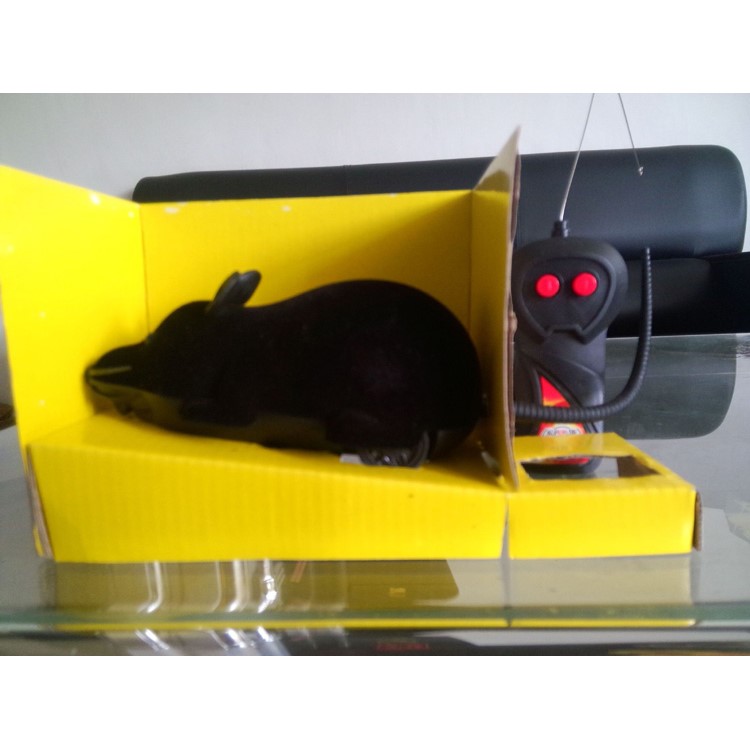 Funny Wireless Remote Control Electronic Mouse Tricky Toy for Cats Dogs Pets Kids - Black-17