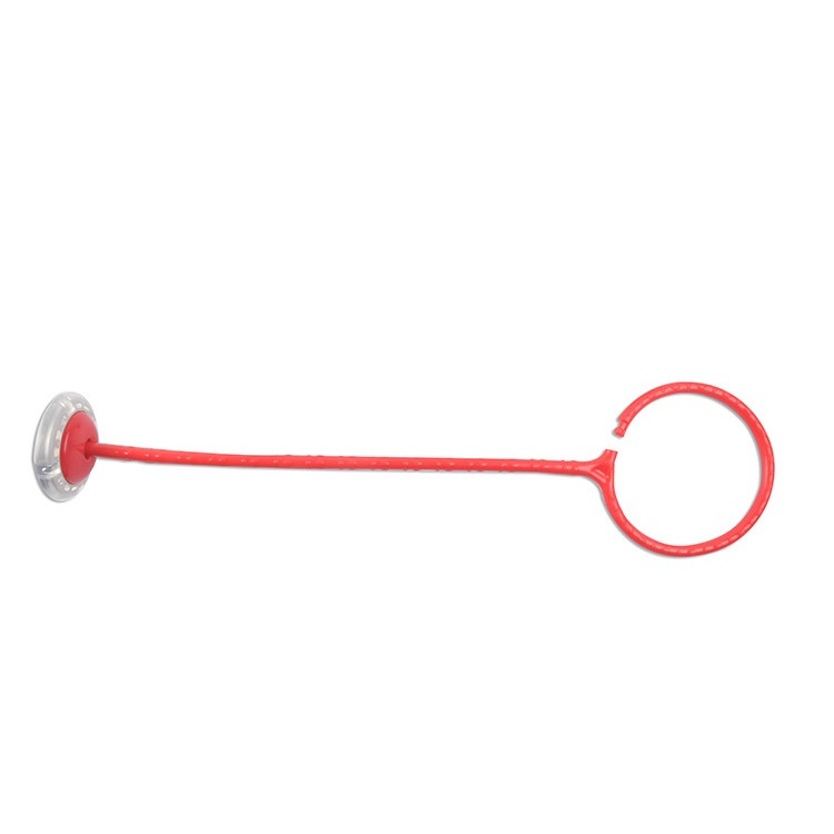 Luminous Bouncing Ball Jumping Ring Fitness Sports Toy - Random Color-9