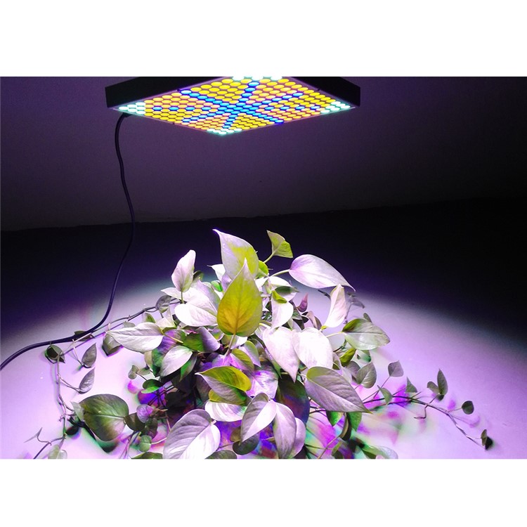 YouOKLight YK6009 45W 225-2835 LED Square Plant Grow Light - US Plug-1
