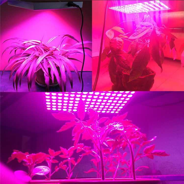 YouOKLight YK6009 45W 225-2835 LED Square Plant Grow Light - US Plug-13