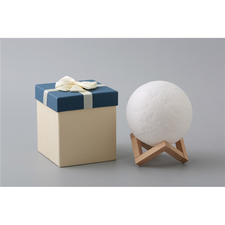 20cm Diameter Light LED 3D Printing Moon Lamp Touch Control Home Decorative Light - White-8
