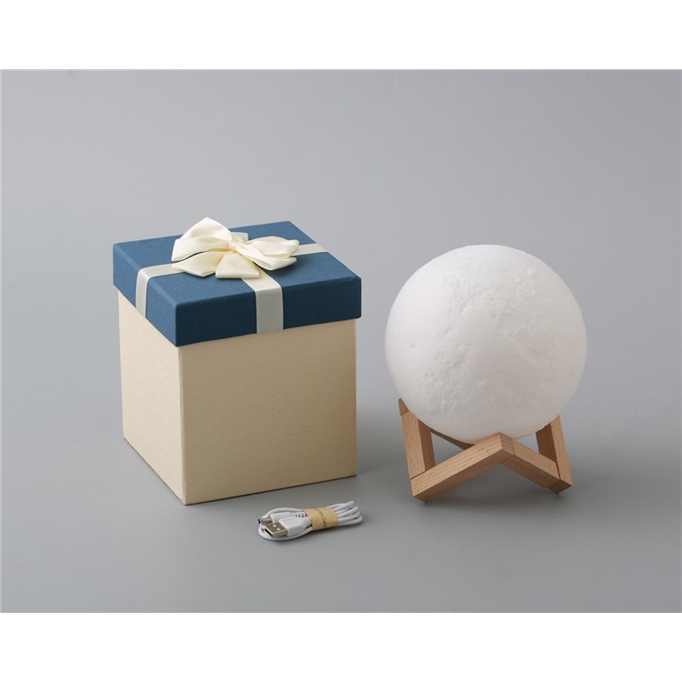 20cm Diameter Light LED 3D Printing Moon Lamp Touch Control Home Decorative Light - White-9