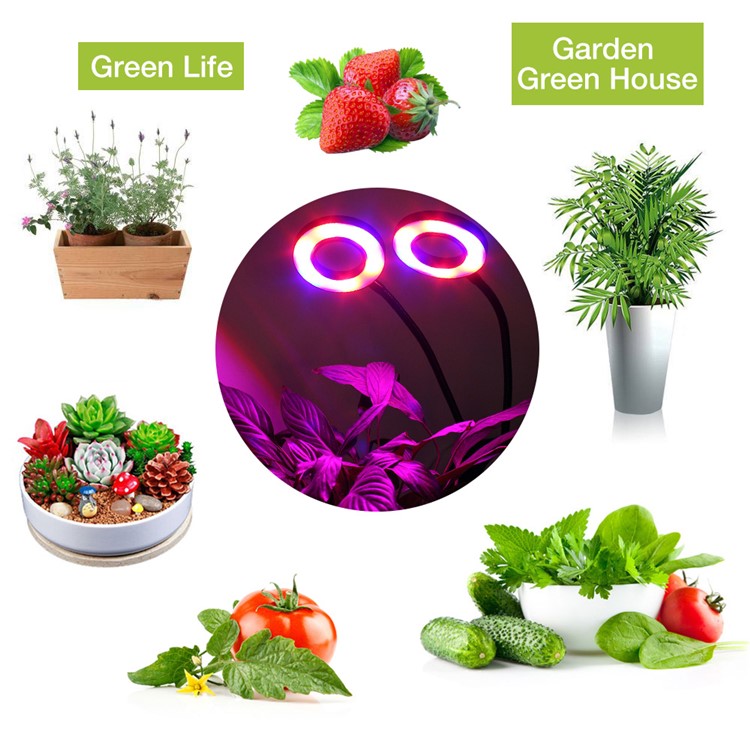 Double Head Gooseneck LED Plant Grow Light 12W - US Plug-2