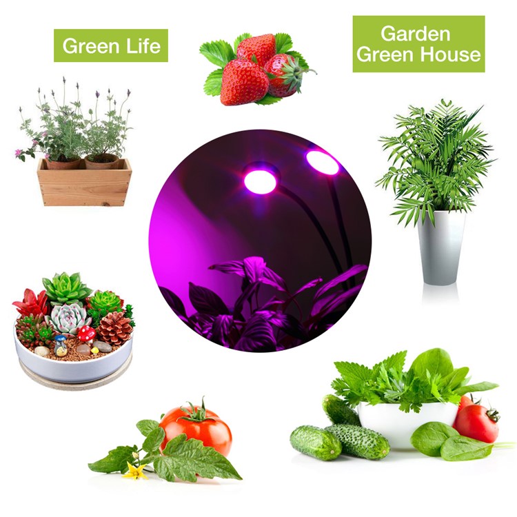 12W Double Head Gooseneck Round LED Plant Grow Light - EU Plug-3