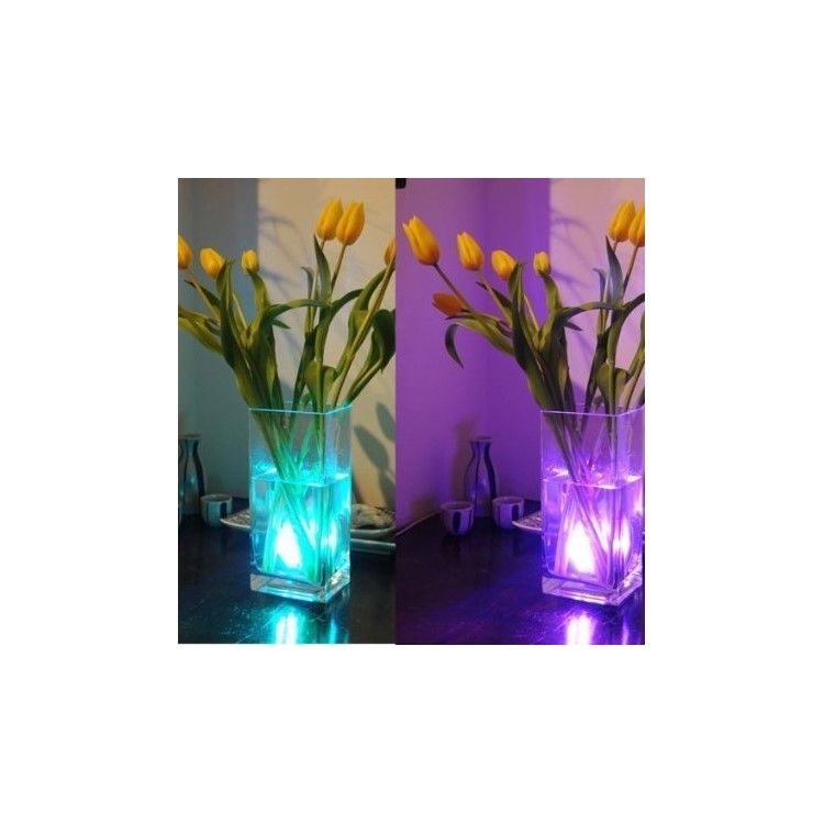 Remote Controller Submersible LED Light Multi-color Changing Waterproof 10-LED Night Light-2