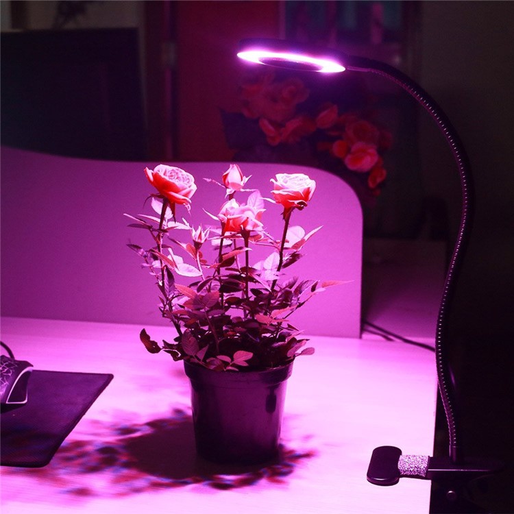10W Dimmable LED Grow Light with 360 Degree Rotating Gooseneck and Clip for Indoor Plants-1