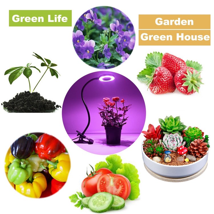 10W Dimmable LED Grow Light with 360 Degree Rotating Gooseneck and Clip for Indoor Plants-5