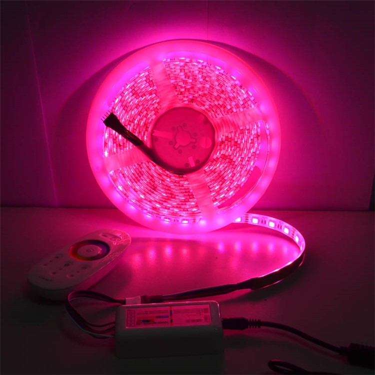 JIAWEN 5M 300 x 5050 SMD RGBW LED Flexible Strip Light with 2.4G RF Remote Controller - EU Plug-18