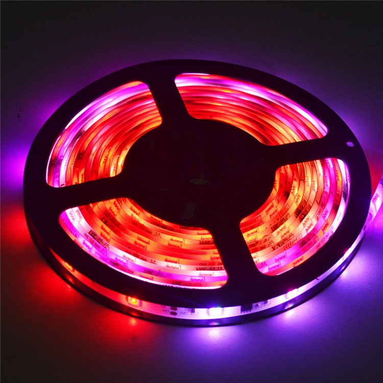 JIAWEN 5M 150 x 5050 SMD Waterproof Full Color LED Strip Lights - EU Plug-6