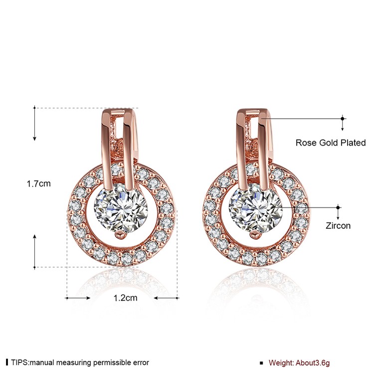 E943 Rose Gold Plated Zircon Women Luxury Earrings-6