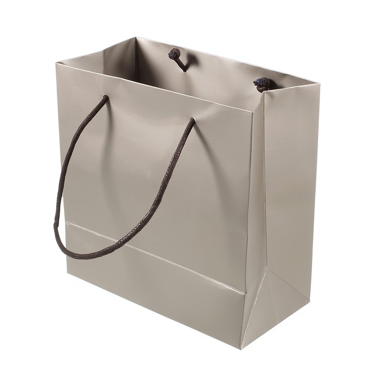 Paper Gift Bag with Handle for Jewelry Shopping Presents Storage, Size: 19.7 x 19.7 x 10cm-1