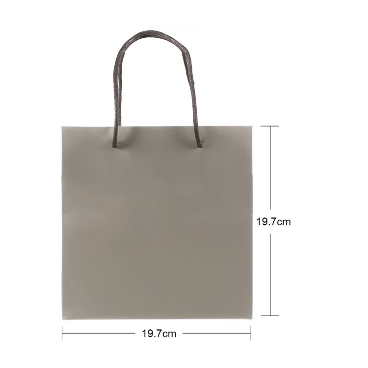 Paper Gift Bag with Handle for Jewelry Shopping Presents Storage, Size: 19.7 x 19.7 x 10cm-2