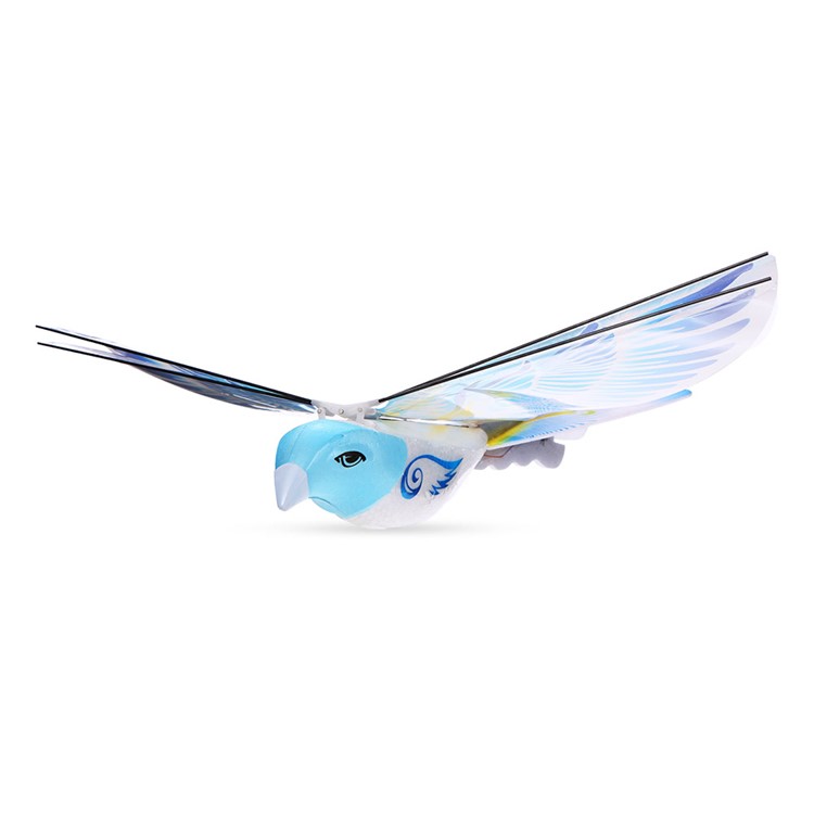 TP10310303162D-4