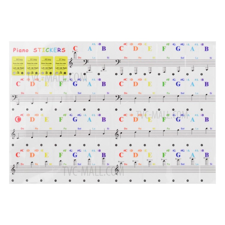 TP10310330744A-4