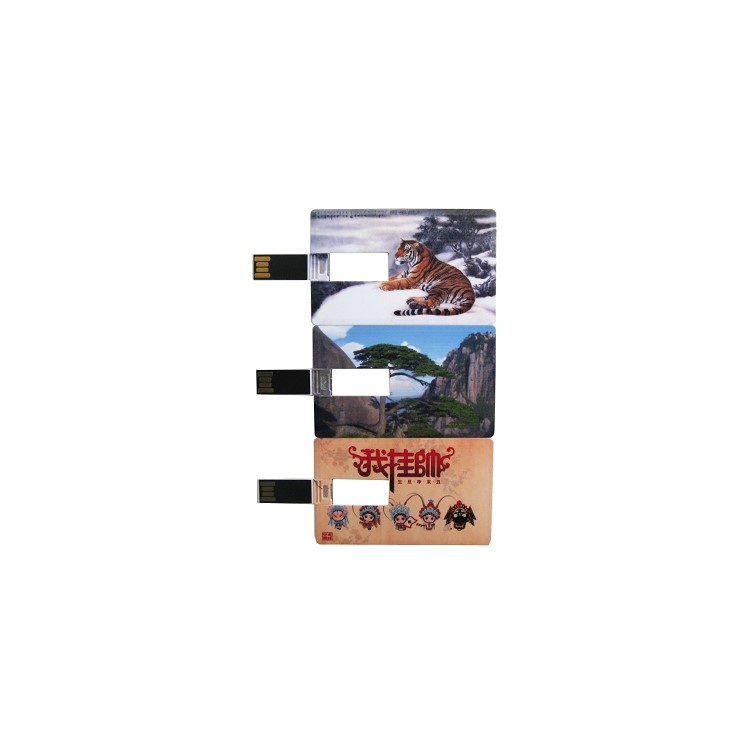 UFD-215, Credit Card Style Flash disk-1