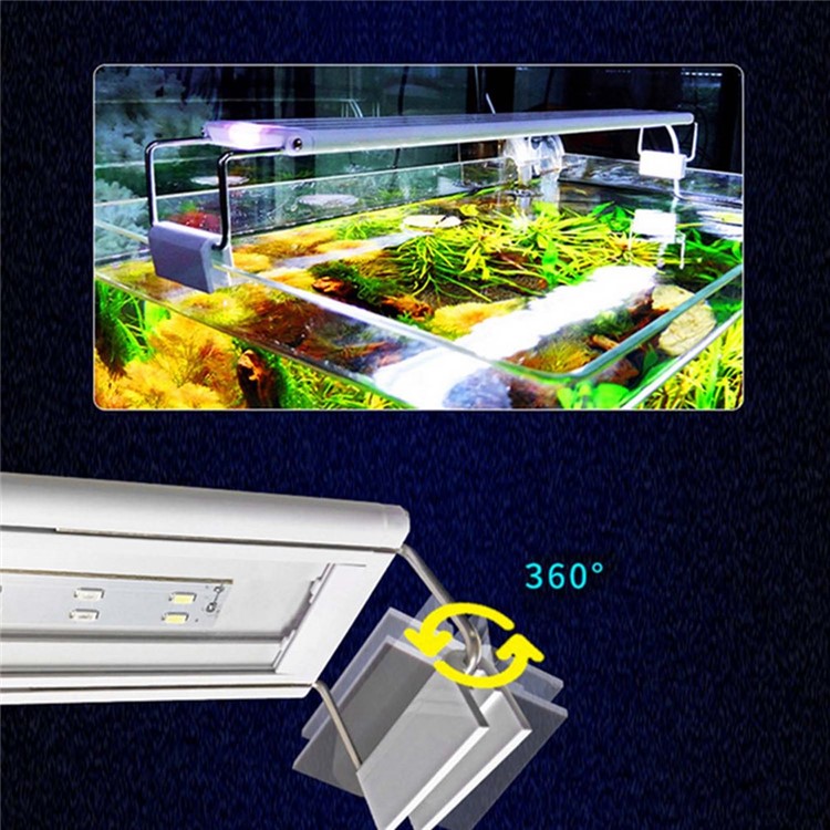 Y1210200156B-2