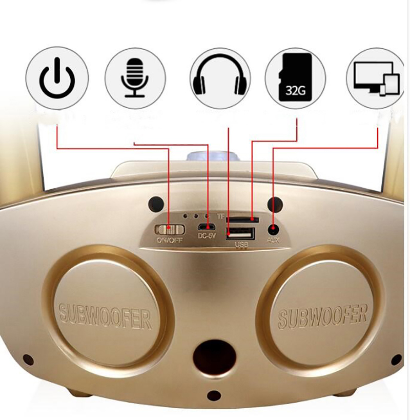 Eagle Eye Design SD-306 Bluetooth Family KTV Tragbarer Lautsprecher Mit Zwei Drahtlosen Mikrofonen - Schwarz