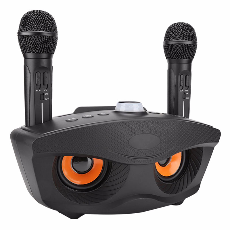 Eagle Eye Design SD-306 Bluetooth Family KTV Stopaker Portatile Con Due Microfoni Wireless - Nero