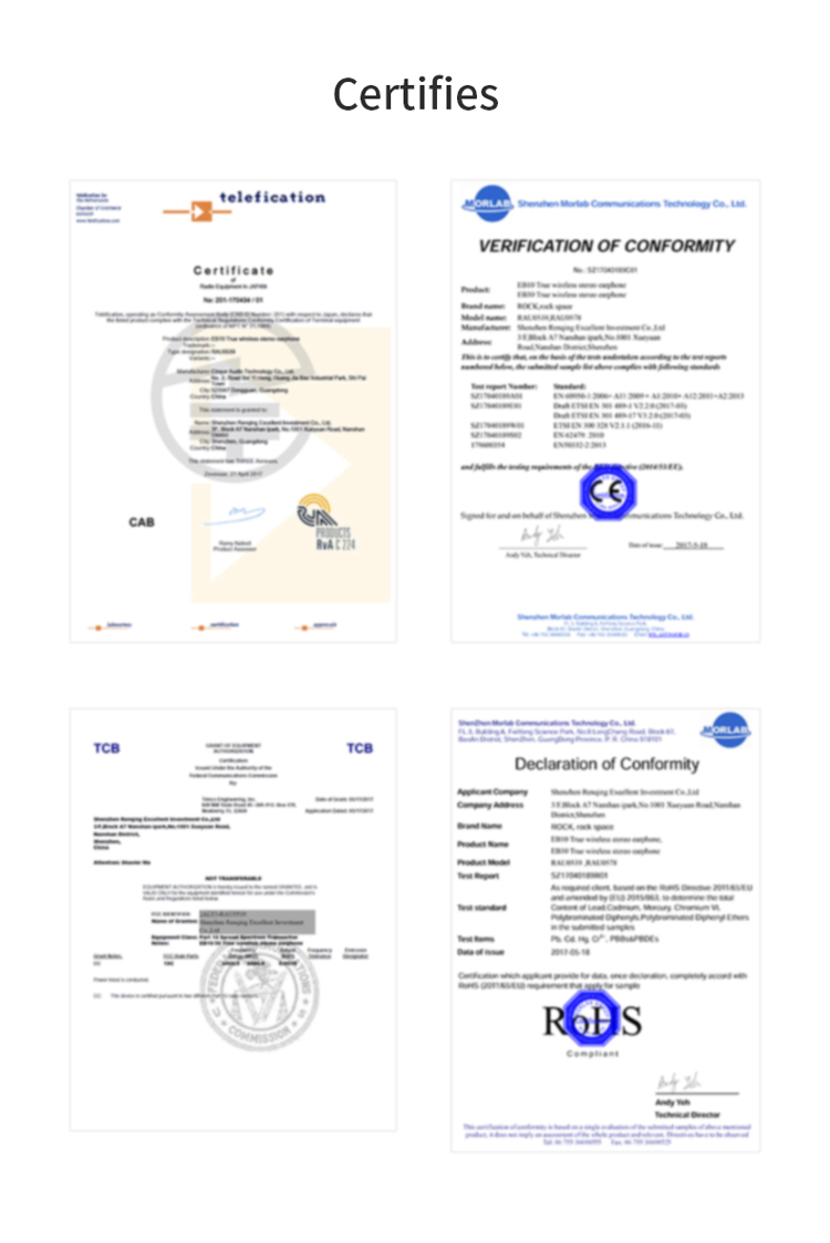 100101236A-12