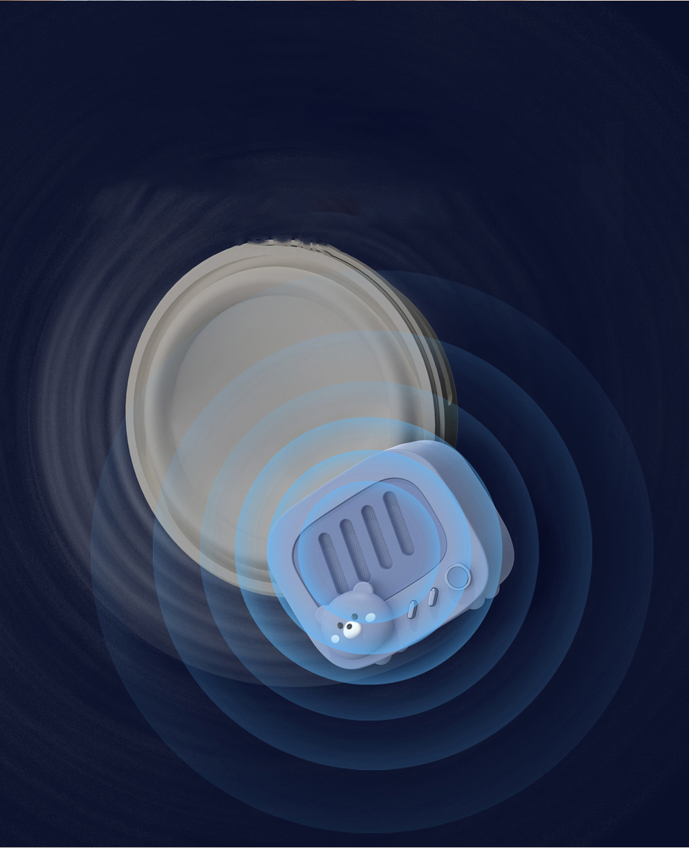 100102645A-8
