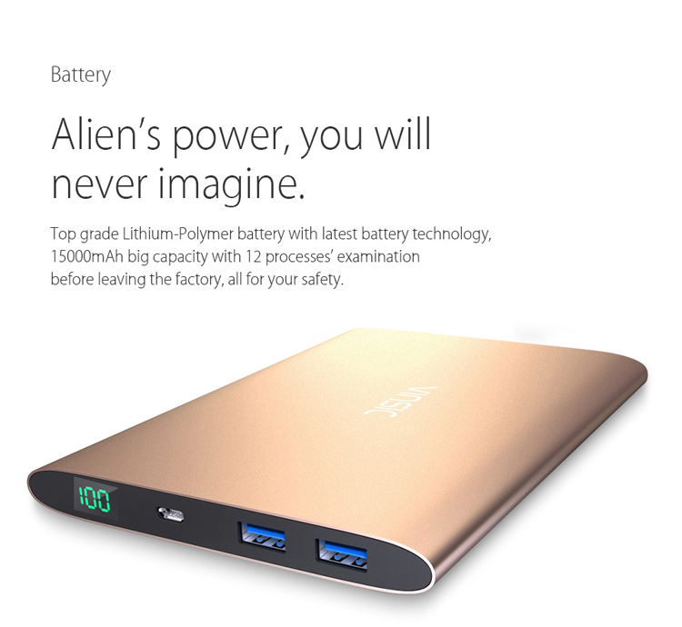 VINSIC 15000mAh Dual USB External Power Bank Battery Charger for iPhone iPad Samsung Huawei - Gold Color-5