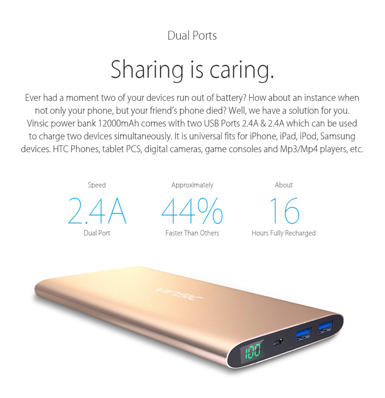 VINSIC Alien P11 12000mAh Dual USB Mobile Power Charger for iPhone iPad Samsung - Gold Color-9