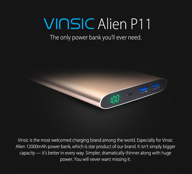VINSIC Alien P11 12000mAh Dual USB Mobile Power Charger for iPhone iPad Samsung - Gold Color-1