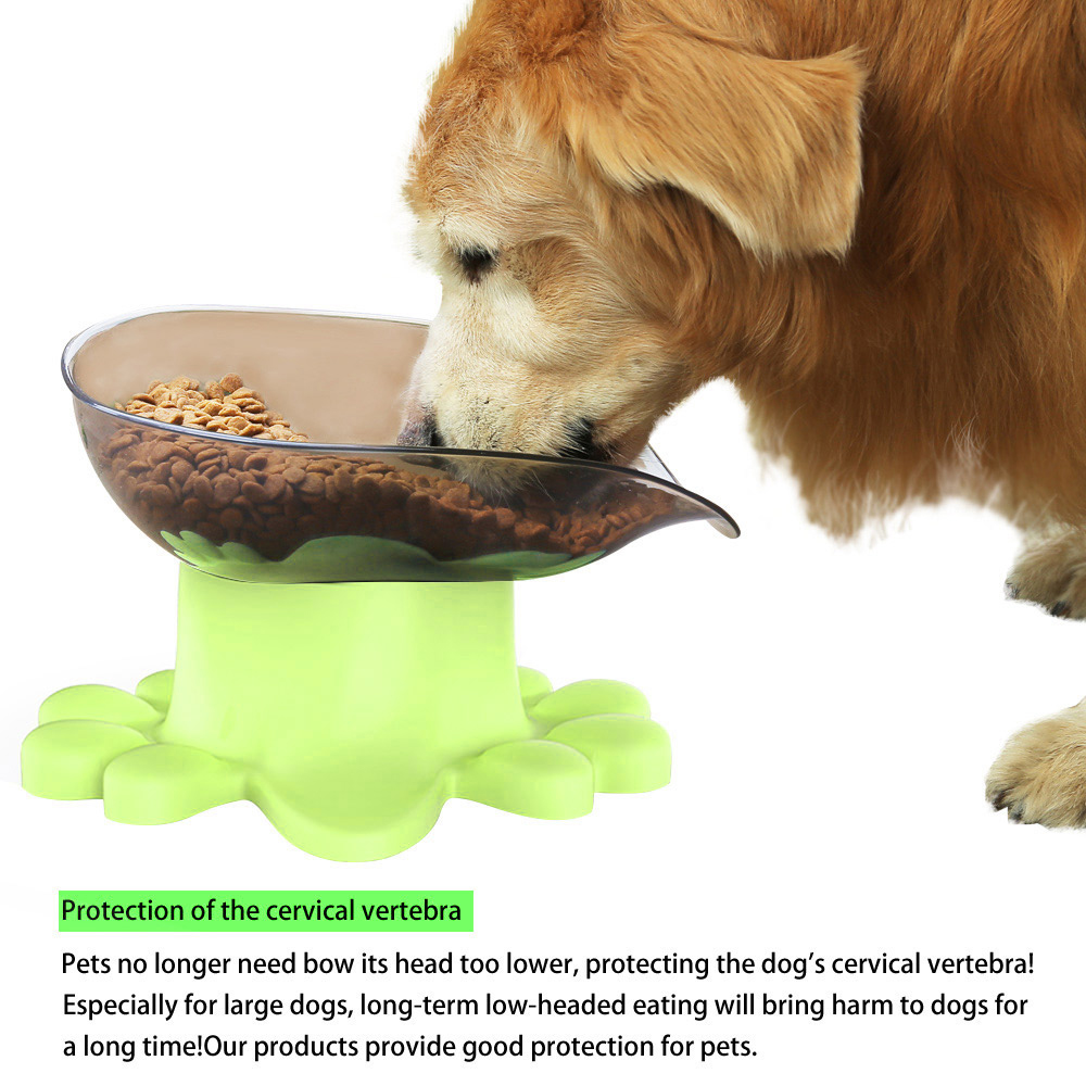 Super Bowl Cão De Inclinação Lateral-aberto Com Suprimentos Para Animais De Base - Verde-13