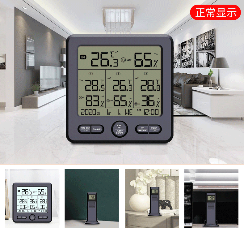 Shopping TS6210 Multifunktional Wireless Digital Thermohydrometer