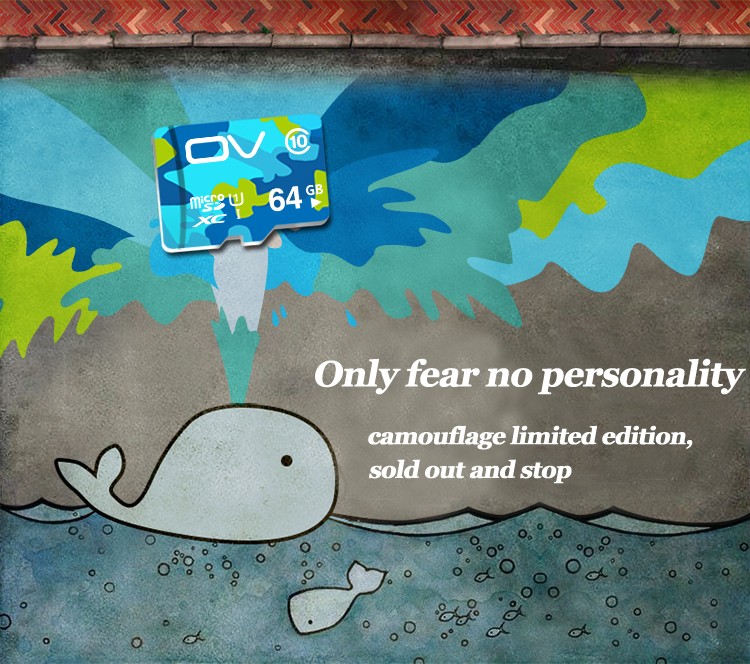 OV Camouflage Edition 64GB Class 10 Micro SD Memory Card 80MB/S High Speed-7