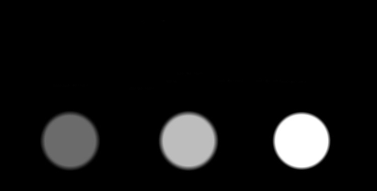 850100416A-4