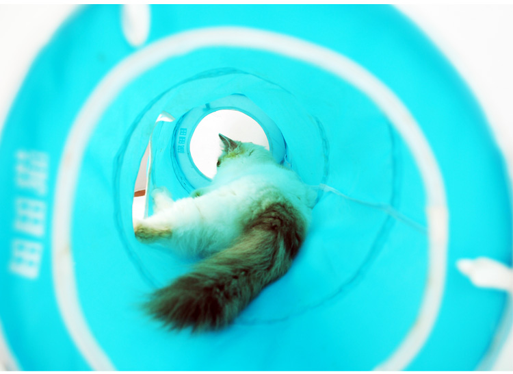 Cat Polyester Foldable Tunnel Cat Playing Toy, Length: 90cm - Blue-6