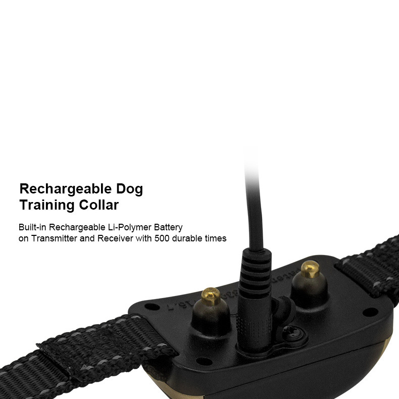 C0002281C-6