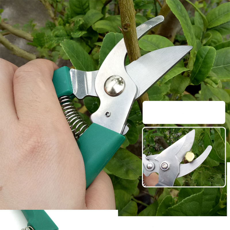 5 Teile / Satz Gartenarbeit Werkzeuge Scher / Gabel / Gabel / Sprühgerät Gärtner Tragetasche Handwerkzeuge Kit