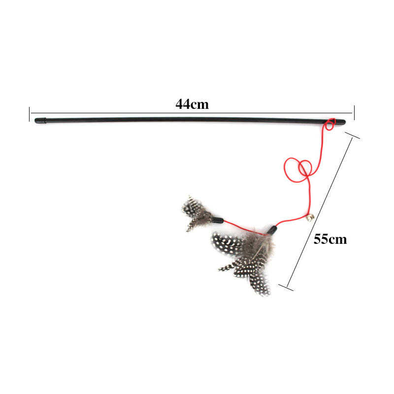 C0005791A-9