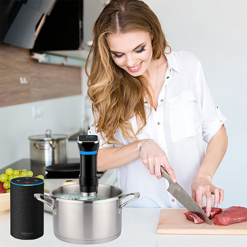 1100W Aspirateur Aliments De L'Immersion Sous Cookeur Cuisinière Cuisine Précis Affichage À LED [FDA CERTIFIÉ], Prix Eu