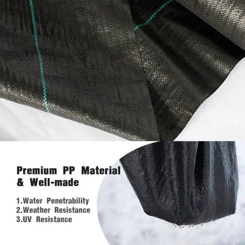 C0006851A-3