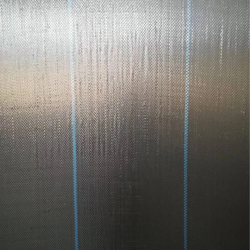 C0006851A-4