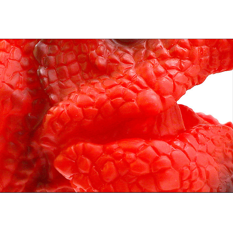 C0007272A-2