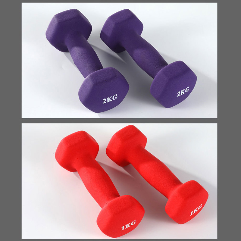 Attrezzatura Per La Palestra Della Palestra Della Dumbbell Della Dumbbell Del Manubrio Del Manubrio Della Manuale Del Peso Di Manubrio Per I Bambini Delle Signore - Rosa / 4 Kg.