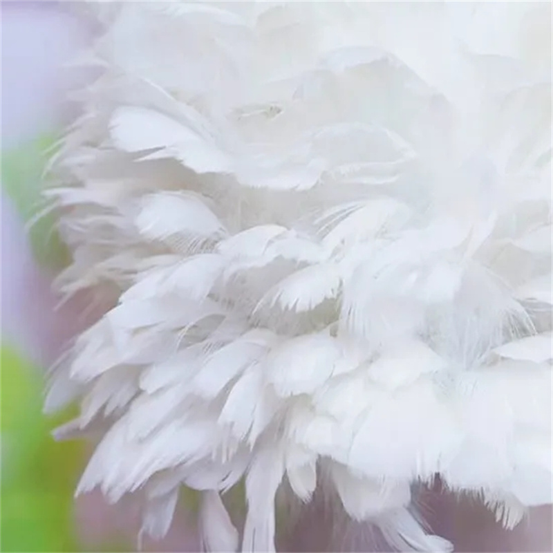 C0013539A-5