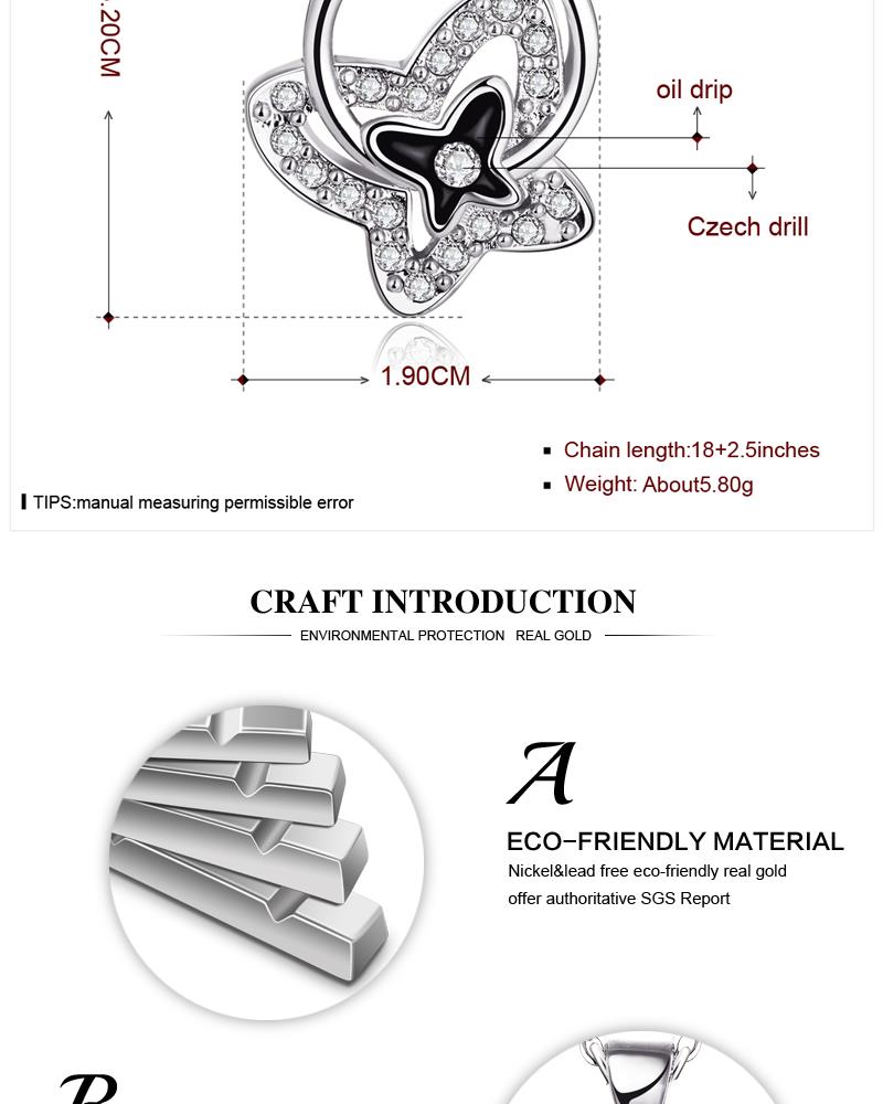 PFH019302179A-2